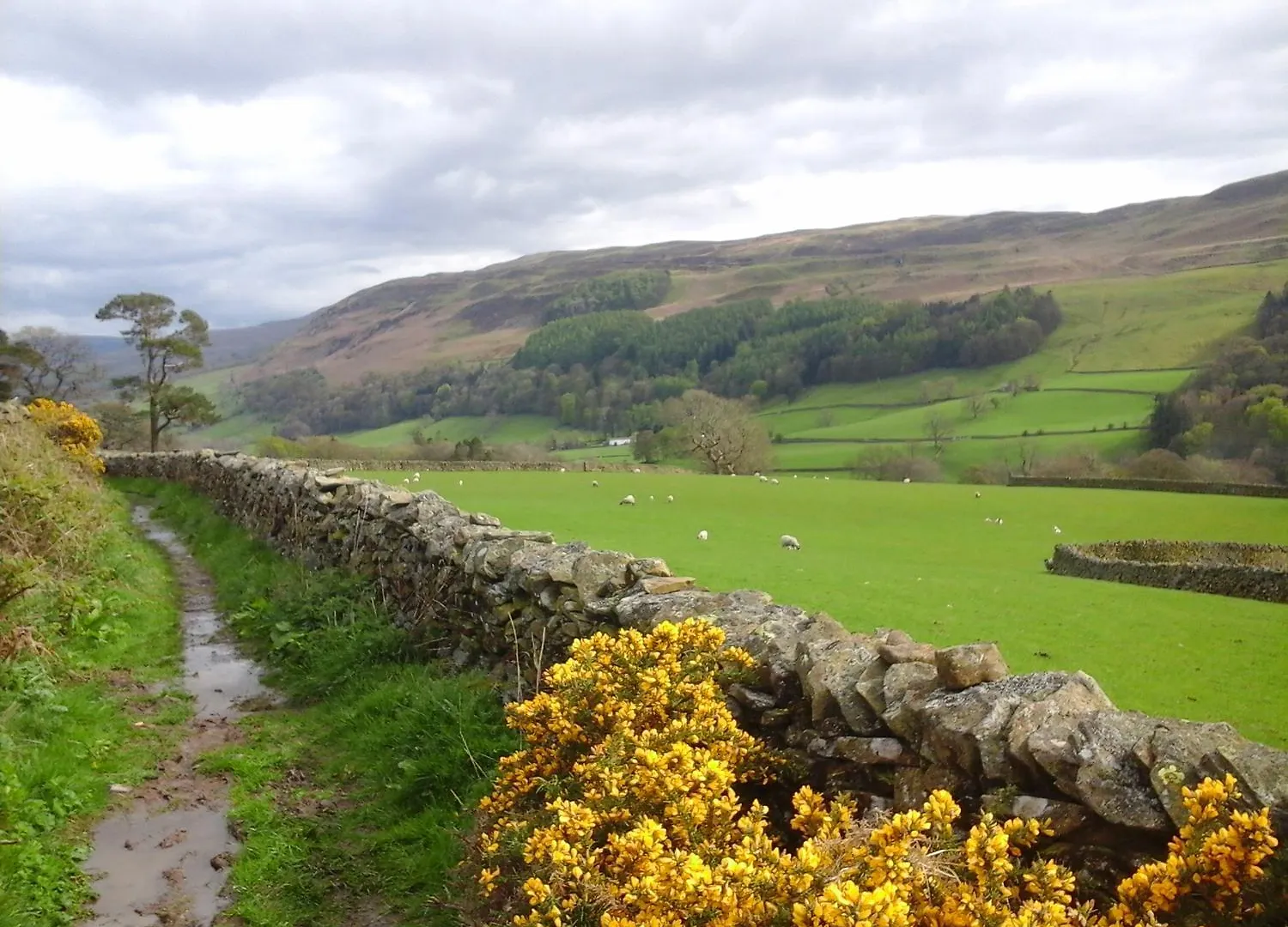 Knott Lodge Milnthorpe