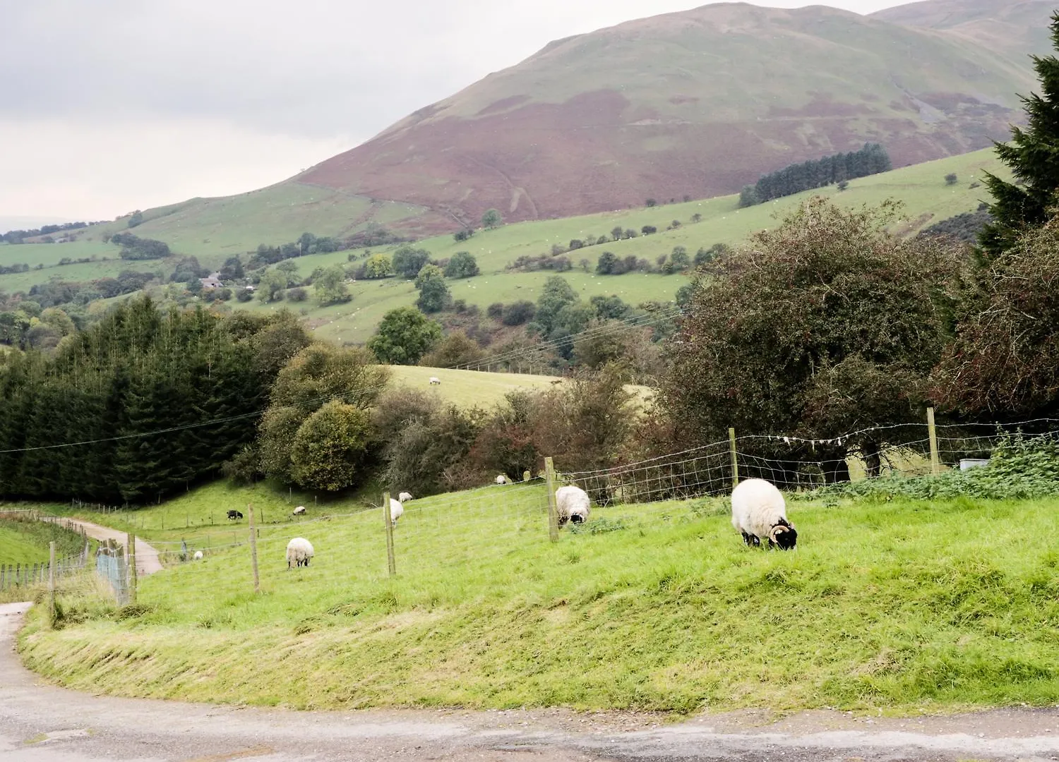 Apartamento Knott Lodge Milnthorpe