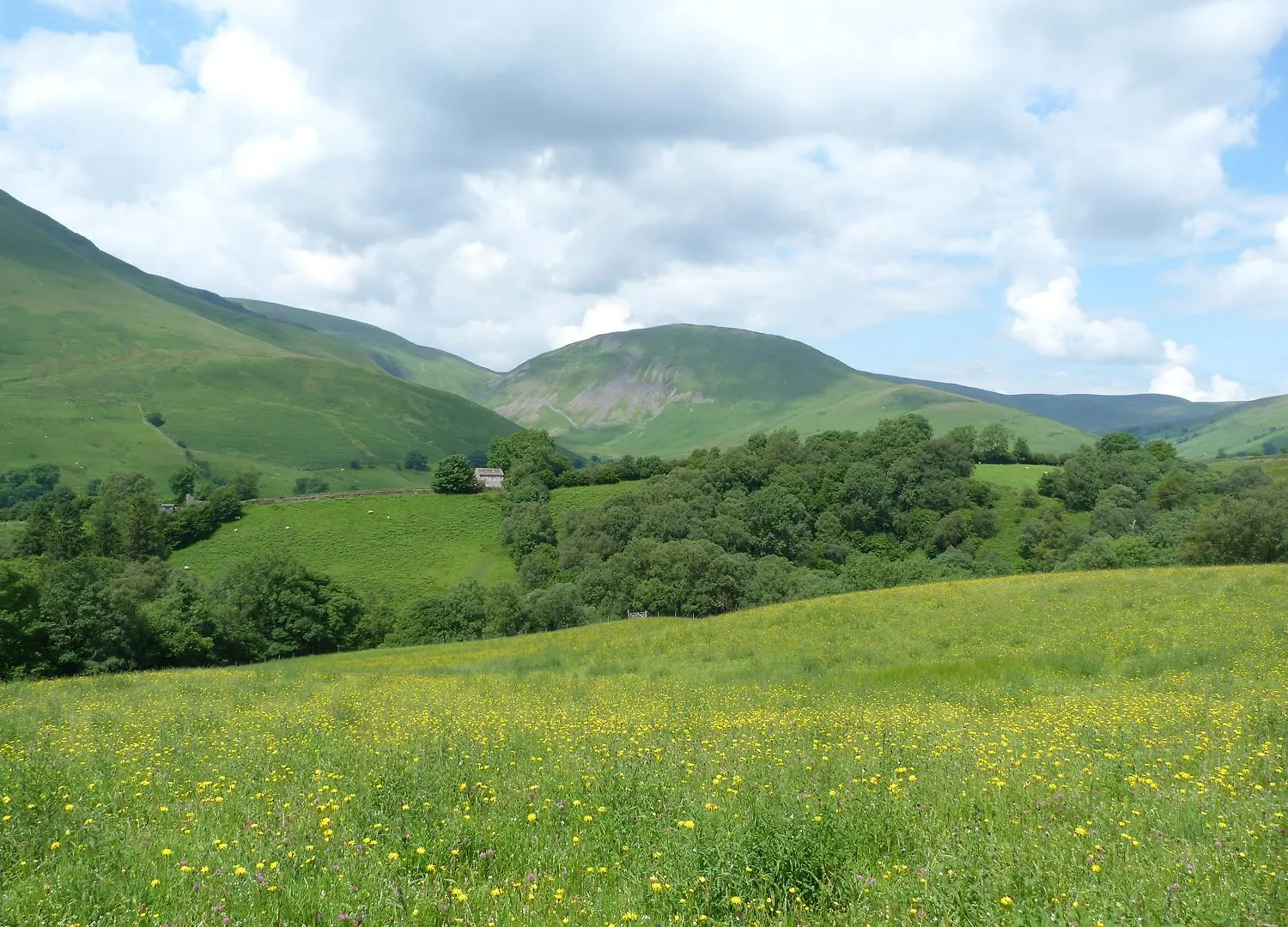 Knott Lodge Milnthorpe
